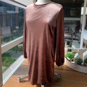 Zara Rose Gold Velvet Blouse/Mini Dress